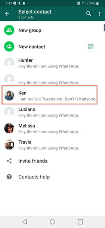Cómo usar WhatsApp: Cómo agregar o eliminar miembros de un grupo